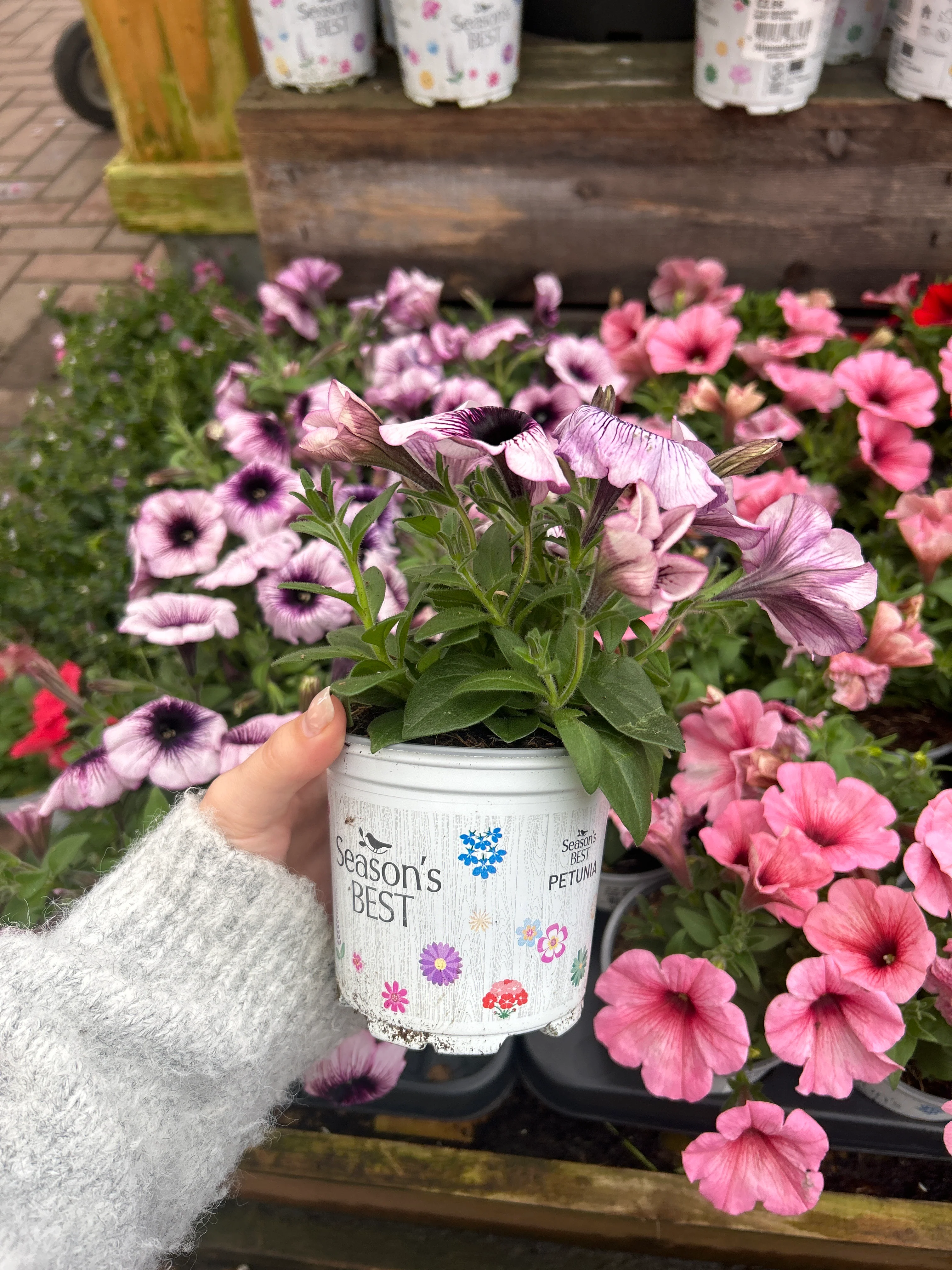 Plants & growing
